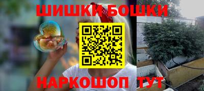 тгк Дмитров