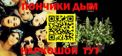 тгк Дмитров