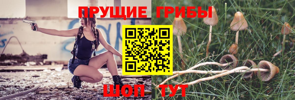 Псилоцибиновые грибы GOLDEN TEACHER Кандалакша