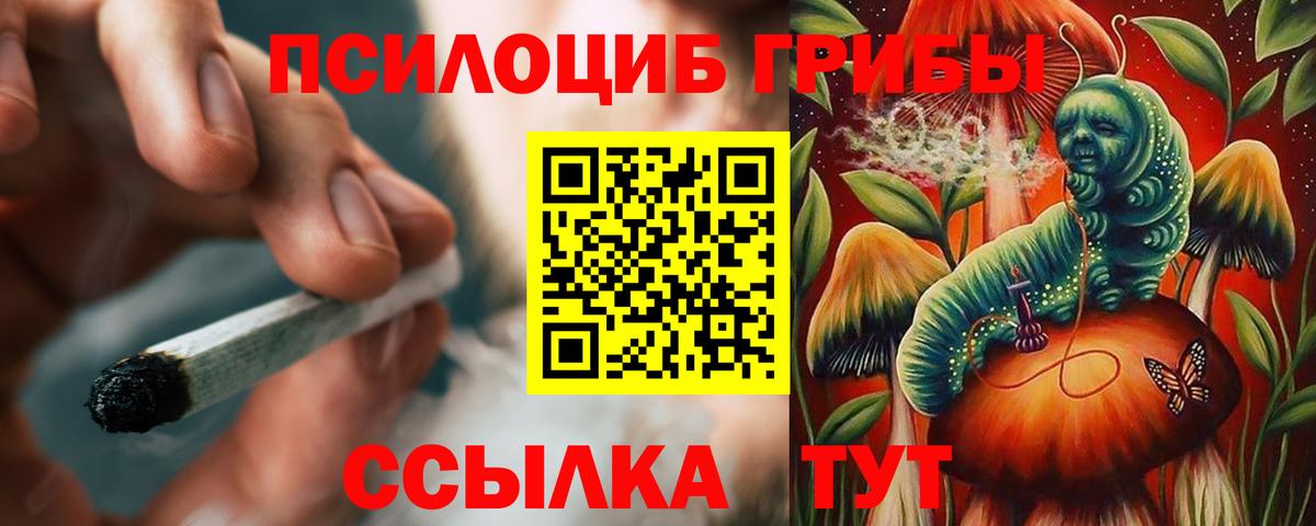 Галлюциногенные грибы Cubensis  закладки  Кандалакша  Вход с VPN  Псилоцибиновые грибы Psilocybine cubensis 